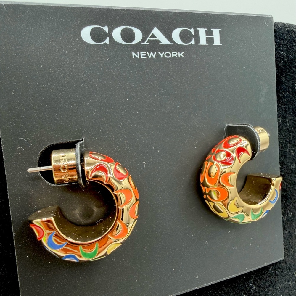 Coach Rainbow Chubby Huggie Earrings